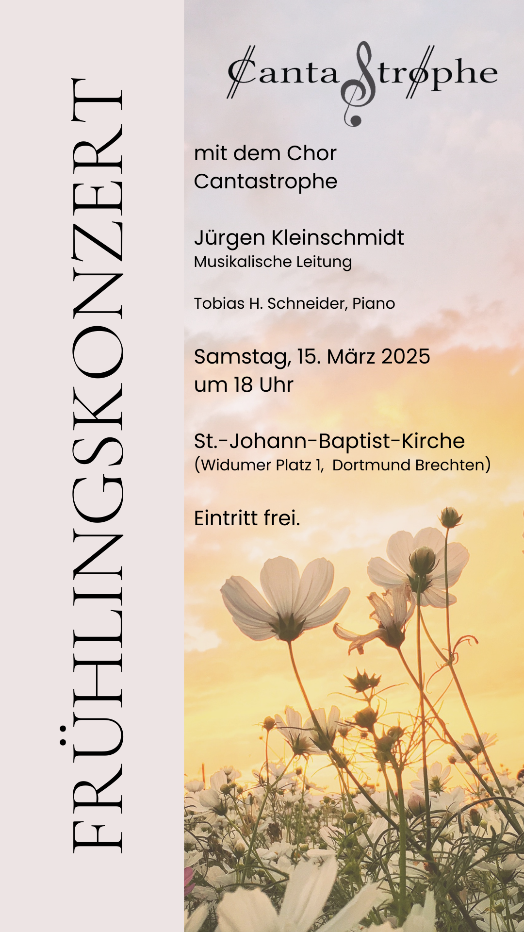 Cantastrophe Frühling 2025